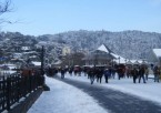 Shimla Local Sightseeing