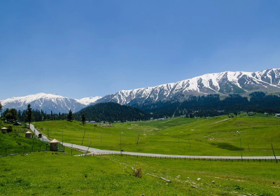 Chandigarh to Srinagar Pahalgam Sonmarg Gulmarg Tour